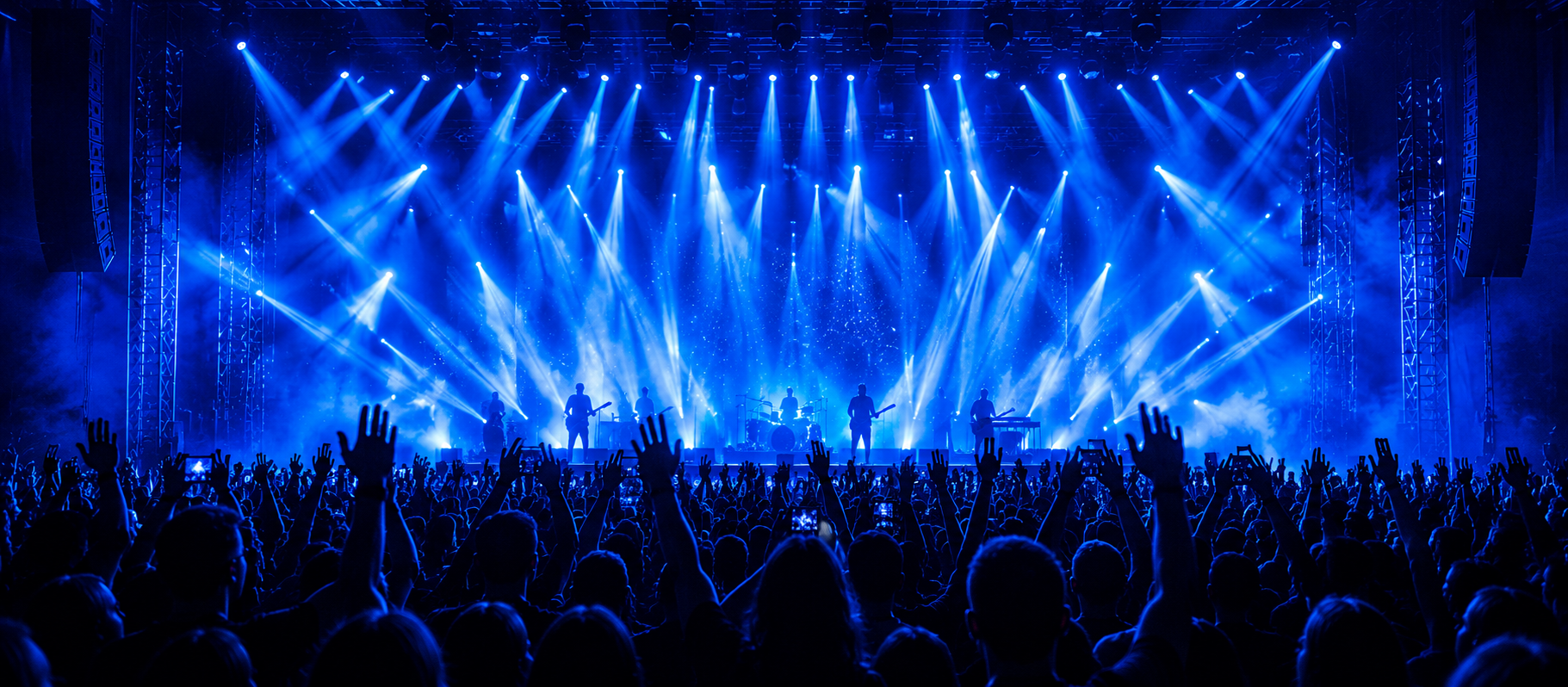 Concert Crowd